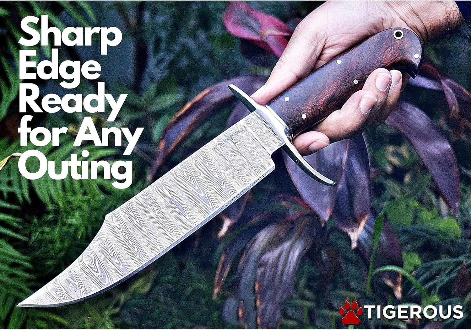 13-inch Bowie Knife, Full Tang Fixed Blade, Wood Handle Damascus Steel Hunting Knife with Scout Horizontal Carry Leather Sheath for Camping, Hiking, Survival (Walnut Wood)