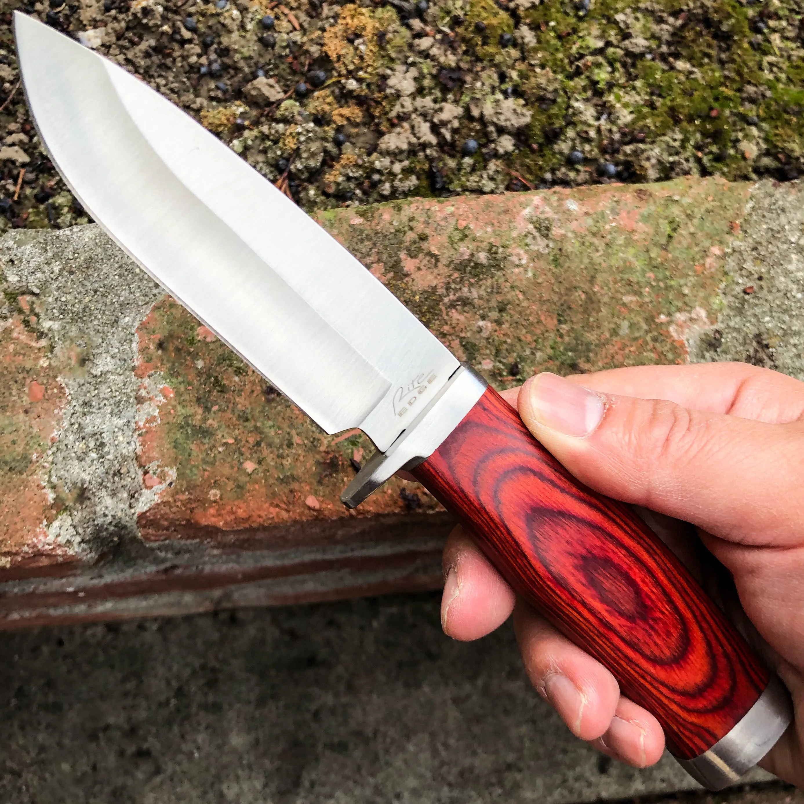 9" Survival FIXED BLADE Hunting Skinner Camping Knife w/ Wood Handle