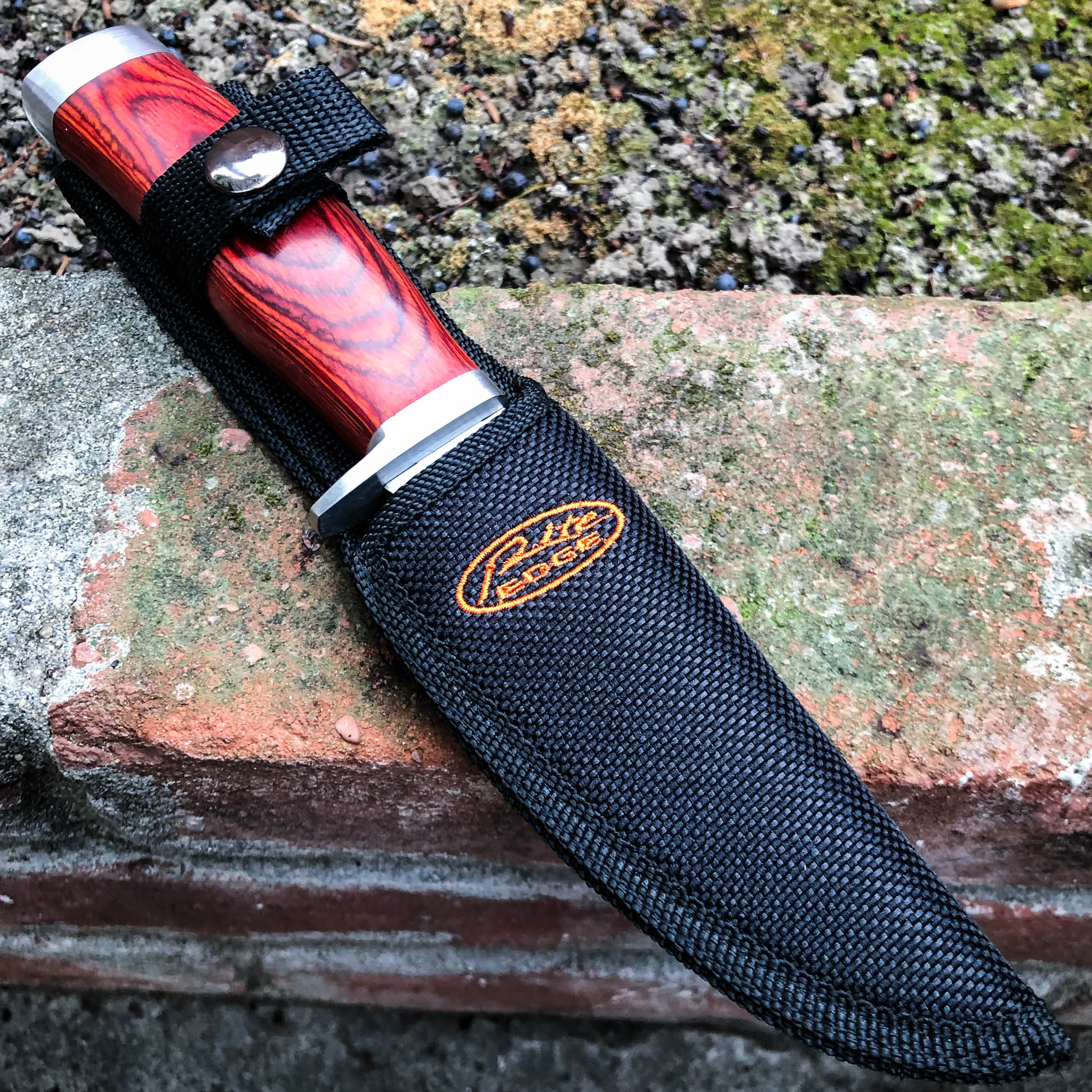 9" Survival FIXED BLADE Hunting Skinner Camping Knife w/ Wood Handle