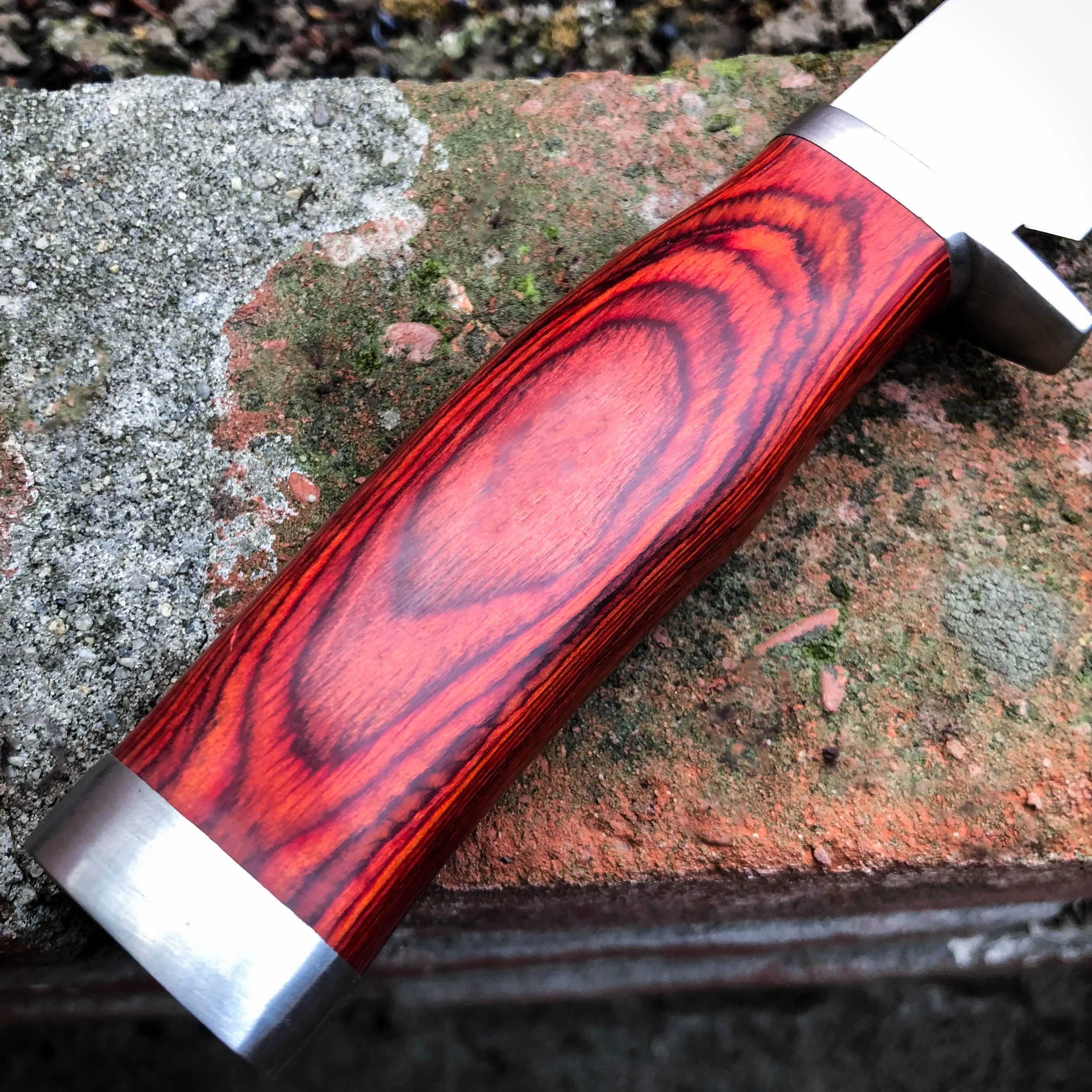 9" Survival FIXED BLADE Hunting Skinner Camping Knife w/ Wood Handle