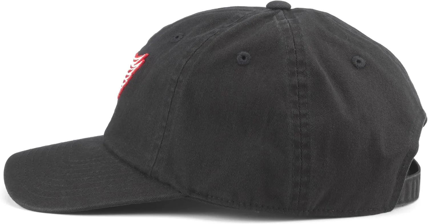 AMERICAN NEEDLE Blue Line Collection NHL National Hockey League Team Baseball Hat Adjustable Buckle Strap Dad Cap