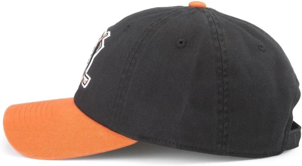 AMERICAN NEEDLE Unisex Blue Line NHL National Hockey League Team Baseball Hat Adjustable Buckle Strap Dad Cap