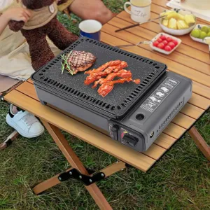 Butane Grill Stove Dual Fuel,Firepower Adjust Gas Grill Stove w/Pressure Protection Device,Butane&Propane Camping Stove,0.25-0.3mpa Pressure