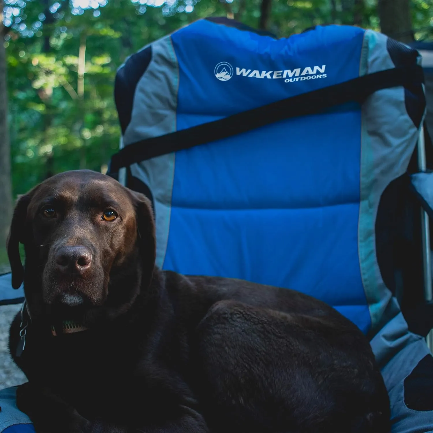 Camping Chair with Footrest - 300lb Capacity Recliner with Cup Holder and Cooler Pouch - Foldable Chair for Tailgating by Wakeman Outdoors (Green)
