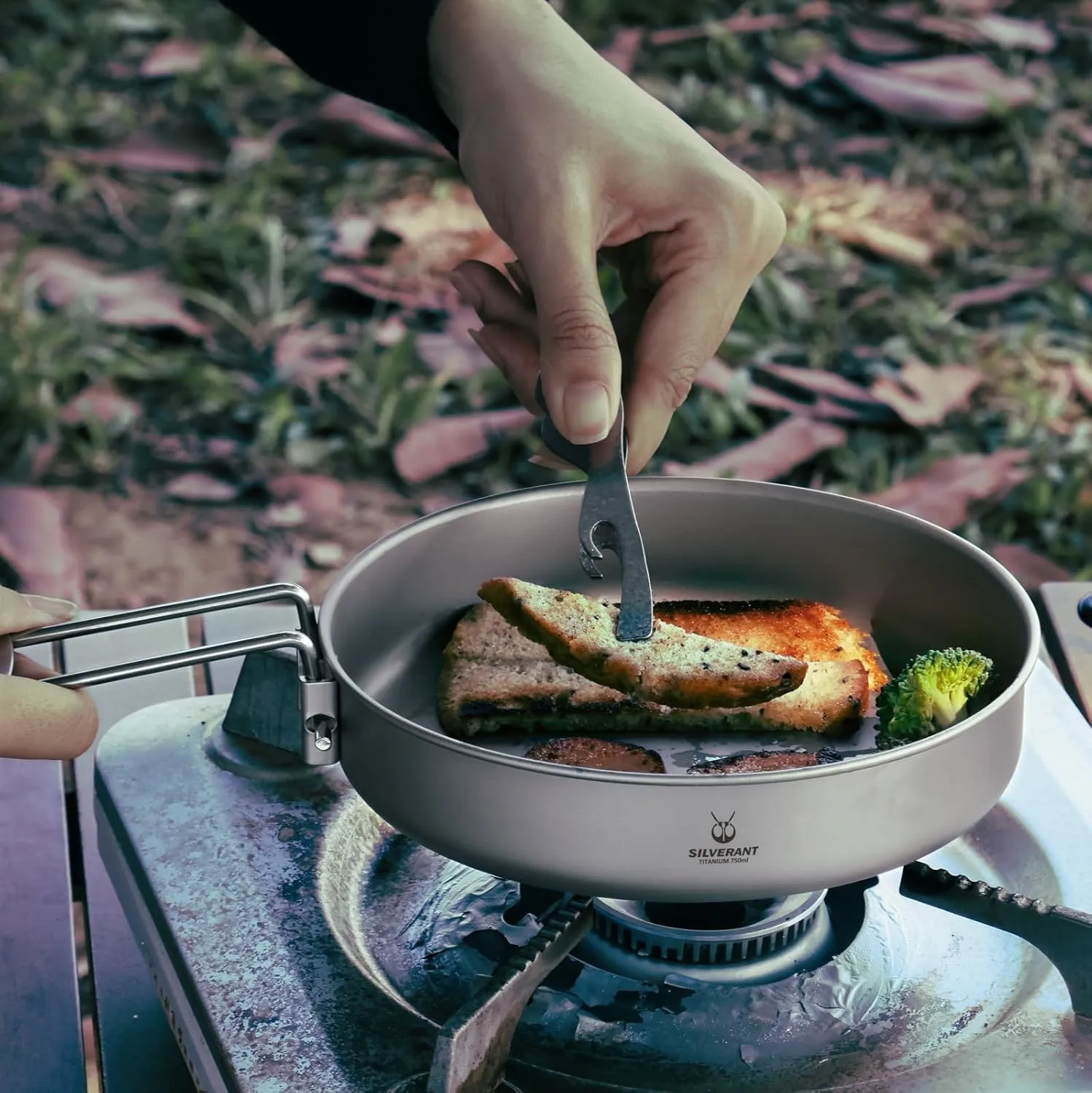 Camping Plate Titanium Pan Dish Plate with Handle & Mesh Bag, Large Reuseable Ultralight Dinner Plate for Camping Outdoors Backpacking (750ML)