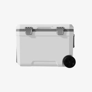 Car Camping Coolers for Chrysler Concept/Pacifica/Voyager/300 Letter Series/300C, Waterproof Portable Cooler, Leak Proof Picnic Insulated Bag, Ultra-Light Premium Ice Chest Box,B-White-45L