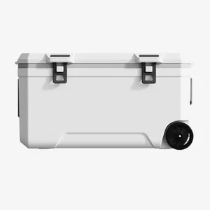 Car Camping Coolers for Daihatsu Atrai/Ayla/Boon/Cast/Copen/Hijet/Rocky/Terios, Waterproof Portable Cooler, Leak Proof Picnic Insulated Bag, Ultra-Light Premium Ice Chest Box,B-White-120L