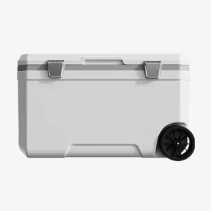 Car Camping Coolers for Infiniti Concept/Q50/Q70/QX50/QX55/QX60/QX80/QX70/QX30, Waterproof Portable Cooler, Leak Proof Picnic Insulated Bag, Ultra-Light Premium Ice Chest Box,B-White-70L