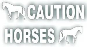 Caution Horses Trailer Decal Sticker Safety Kit - Trotter Walking Horse On Each End Reflective White-Silver 4.5x50 inch