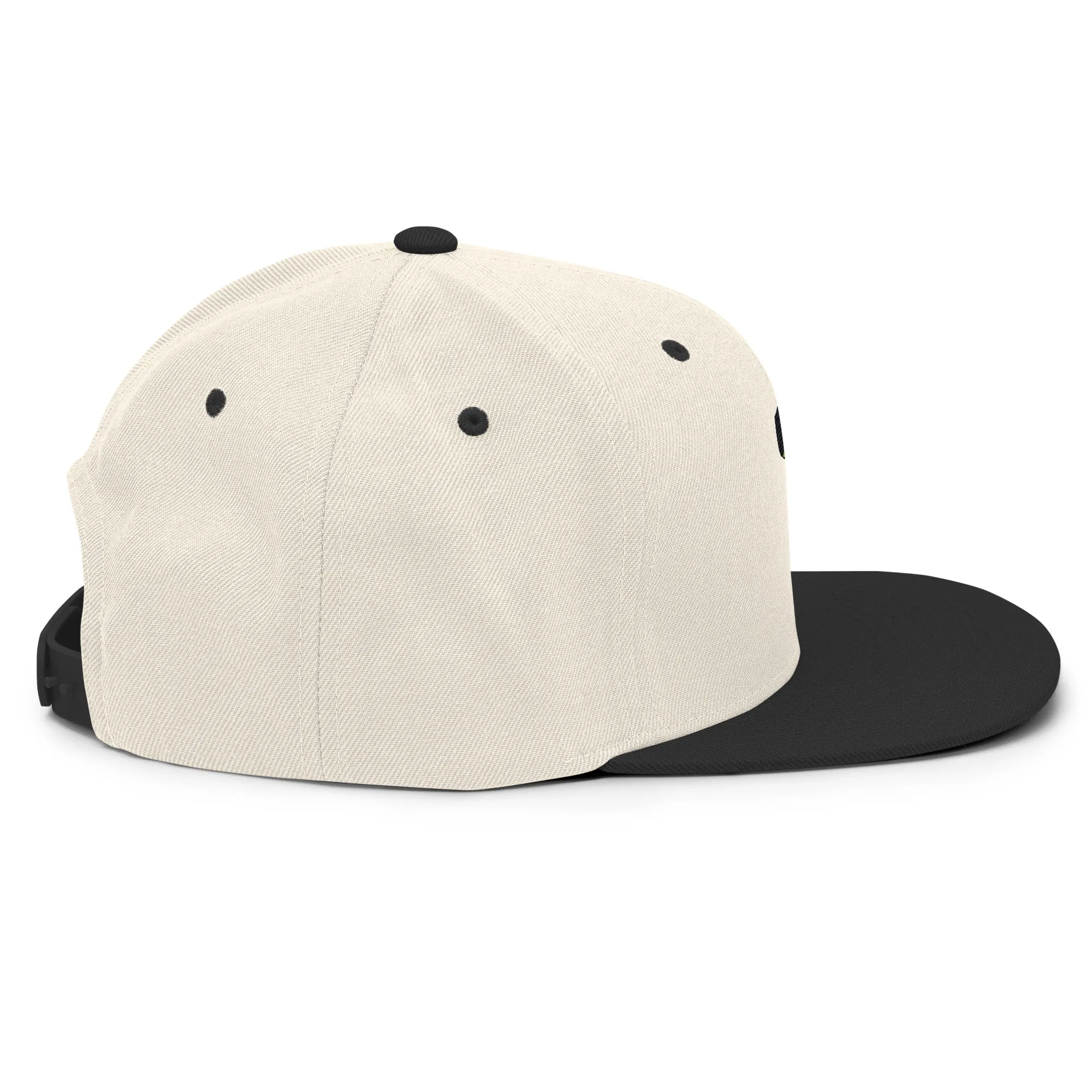Chill Guy Snapback Hat