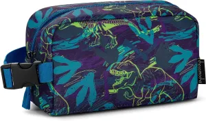 Choco Mocha Small Cooler Bag for Kids Freezable Snack Bag for School, Kids Insulated Snack Bag Small Lunch Bag, Toddler Lunch Bag for Boys, Dinosaur Blue