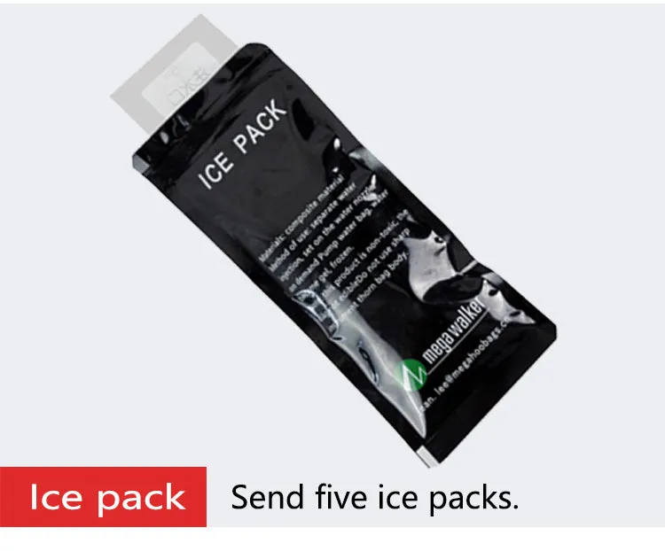 Cooler Bag Portable with Aluminium Foil Ice Packs
