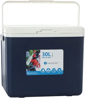 Cooler for Alfa Romeo 147/156/159/164/166/MiTo/Spider/Alfetta GT Insulated Hard Ice Box Large High-Performance Storage Box Portable Cool Picnic Box Festival Camping,B-38 * 30.5 * 34.5cm
