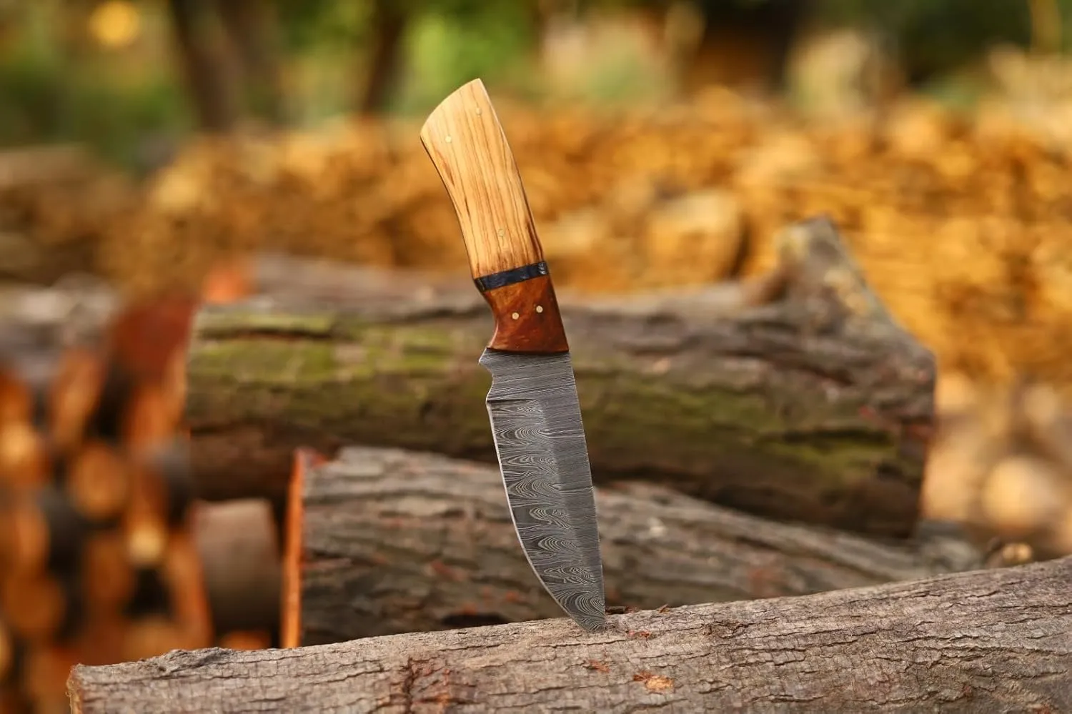 Custom Handmade Fixed Blade Hunting Knife - 9 Inch hand Forged Full Tang Knives For Hunting, Outdoor Camping, Hiking, Fishing, Bushcraft Knives With Leather Sheath. (Predator Hunter Knives)