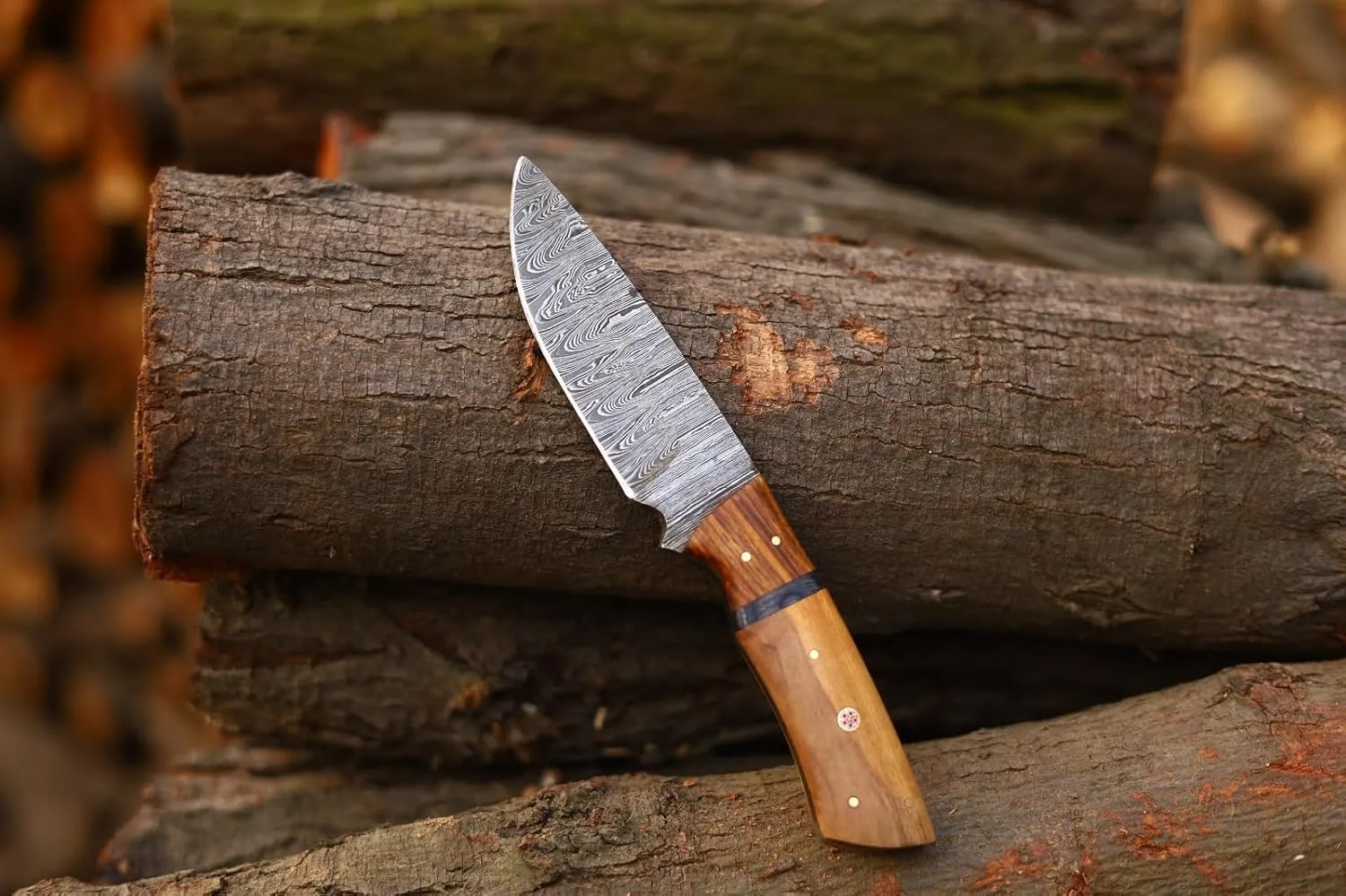 Custom Handmade Fixed Blade Hunting Knife - 9 Inch hand Forged Full Tang Knives For Hunting, Outdoor Camping, Hiking, Fishing, Bushcraft Knives With Leather Sheath. (Predator Hunter Knives)