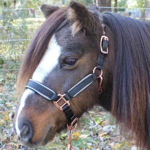 Derby Originals Desert Rose Collection Rose Gold Reflective Safety Stable Horse Halters with Matching Lead Ropes