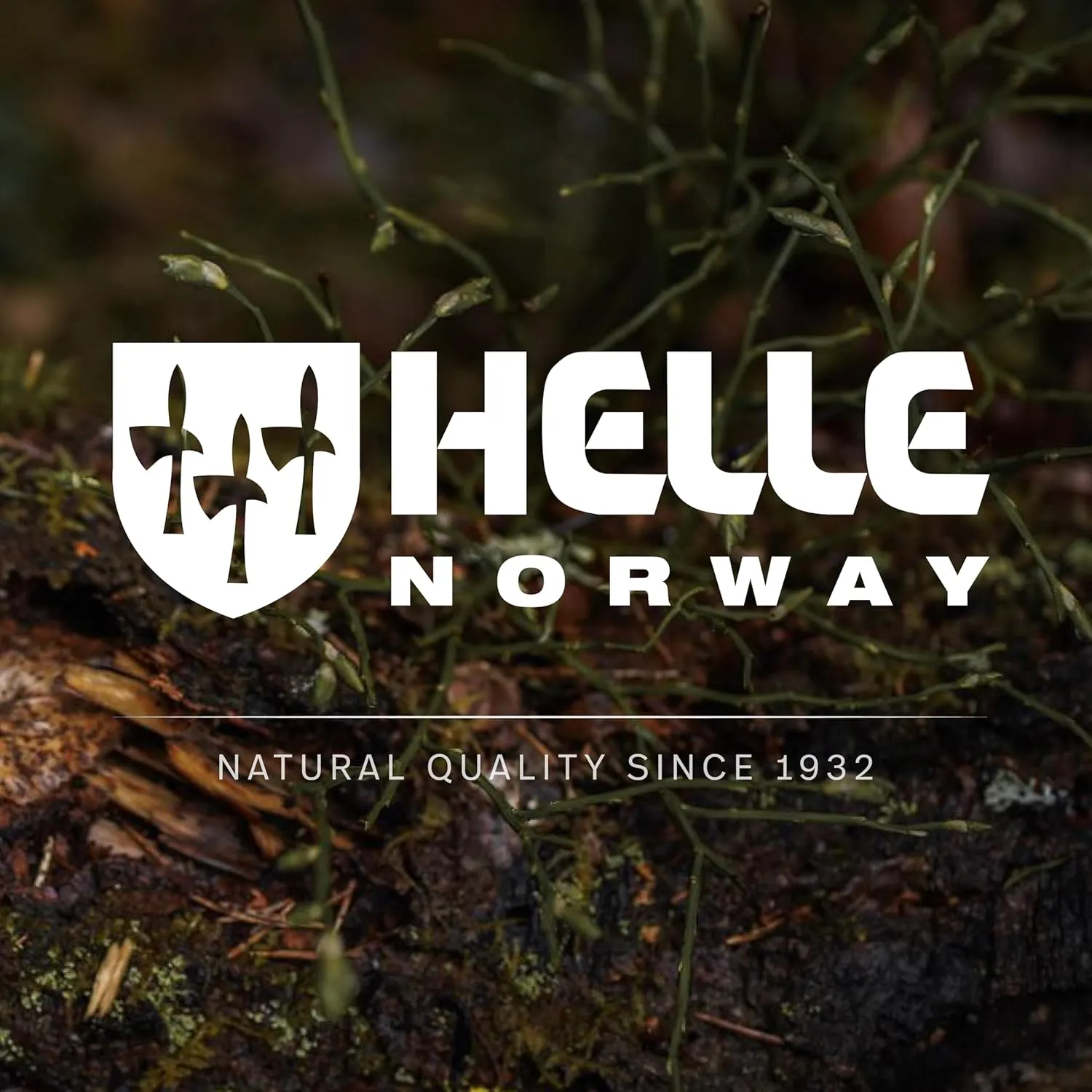 HELLE Knives - GT -Triple Laminated Stainless Steel, Outdoor Camping Knife, Stick Tang Fixed Blade with Sheath, Curly Birch Handle, Made in Norway