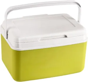 Insulated Box Cold/Heat Preservation Cooler Beverage Storage Organizer Fridge Ice Chest Small Hard for Stall Boat Sport Drink