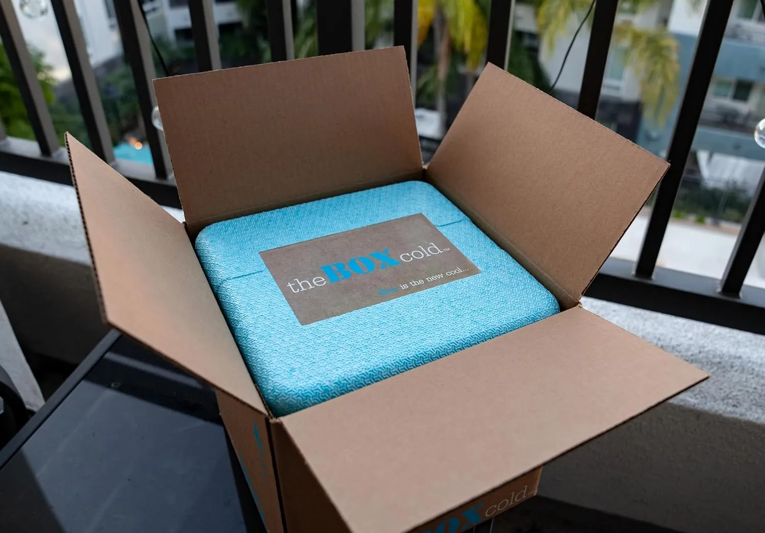 Insulated Cold Shipping Box with Foam Cooler, Reusable, Recyclable, and Multi-Purpose, EPE USA theBOXcold