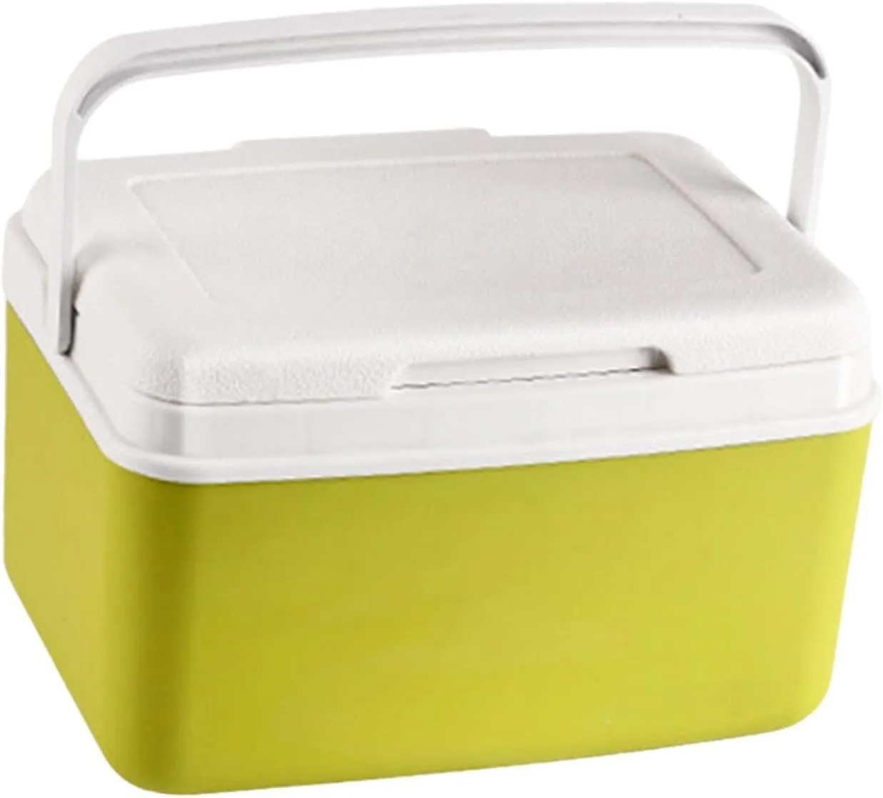 Insulated Cooler Box Car Refrigerator Cold Storage Portable Ice Chest Small Ice Retention Cooler for Barbecue Beach Fishing