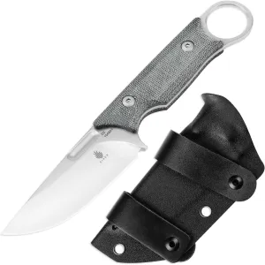 Kizer Cabox Fixed Blade Knife 3.35 Inches D2 Steel Fixed Blade Hunting Knife Micarta Handle with Sheath Pocket Knife1048A1