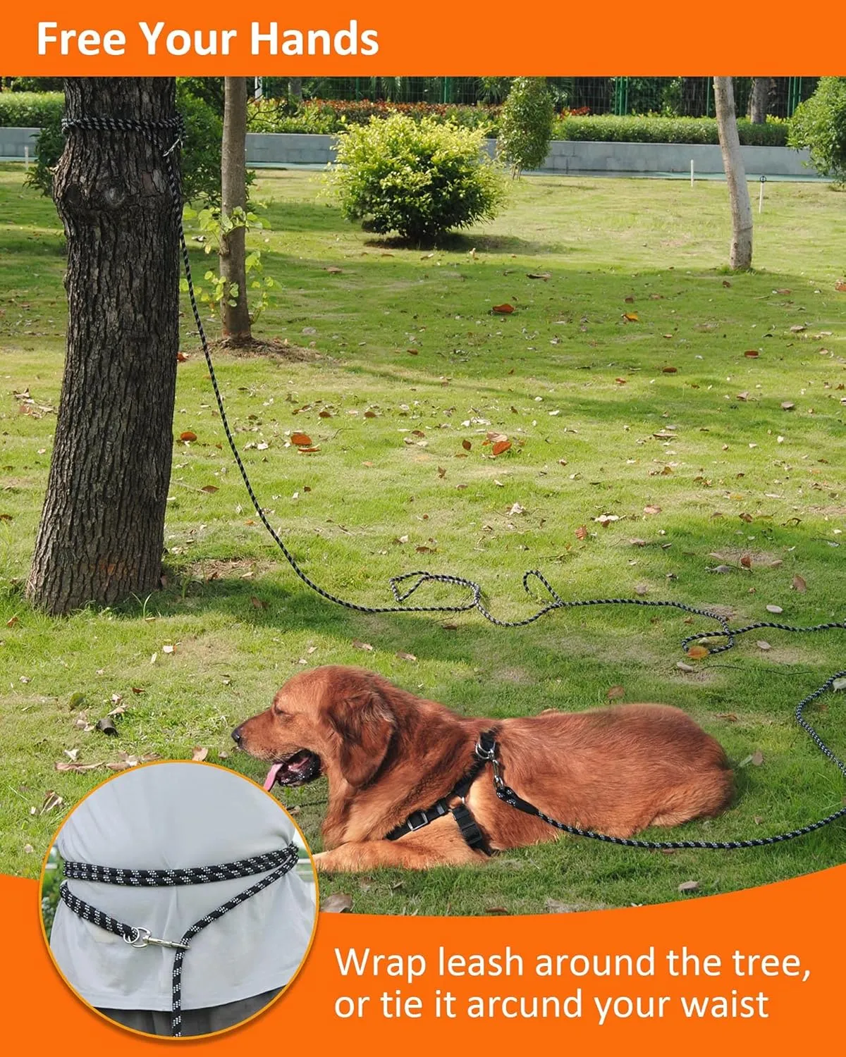 Long Dog Leash for Dog Training 10FT 16FT/30FT/50FT/100FT, Reflective Rope Dog Leash, Heavy Duty Dog Lead for Large Medium Small Dogs Walking Playing, Camping, or Yard