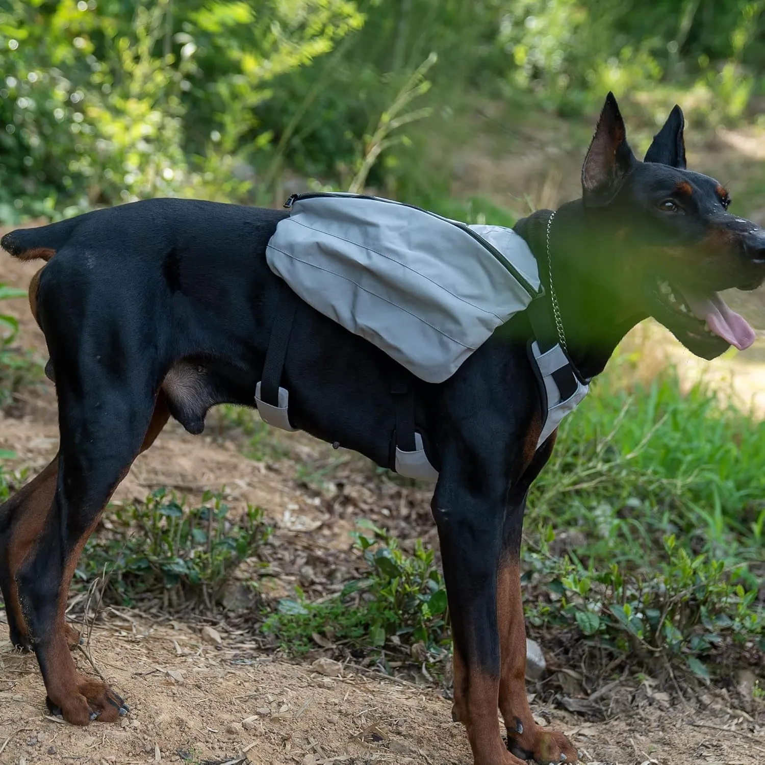 Lovelonglong Dog Backpack for Hiking, Multifunctional Dog Day Pack Zippered Travel Dog Saddle Bag Outdoor Hiking Backpack with 2 Capacious Side Pockets for Small Medium Large Dogs Gray L