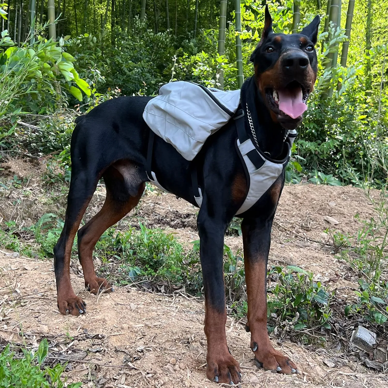Lovelonglong Dog Backpack for Hiking, Multifunctional Dog Day Pack Zippered Travel Dog Saddle Bag Outdoor Hiking Backpack with 2 Capacious Side Pockets for Small Medium Large Dogs Gray L