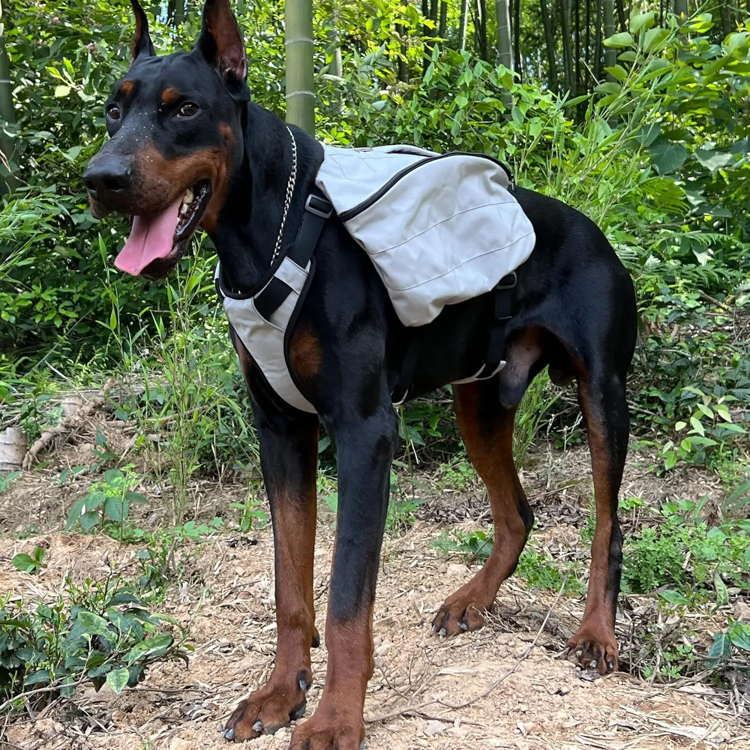 Lovelonglong Dog Backpack for Hiking, Multifunctional Dog Day Pack Zippered Travel Dog Saddle Bag Outdoor Hiking Backpack with 2 Capacious Side Pockets for Small Medium Large Dogs Gray L