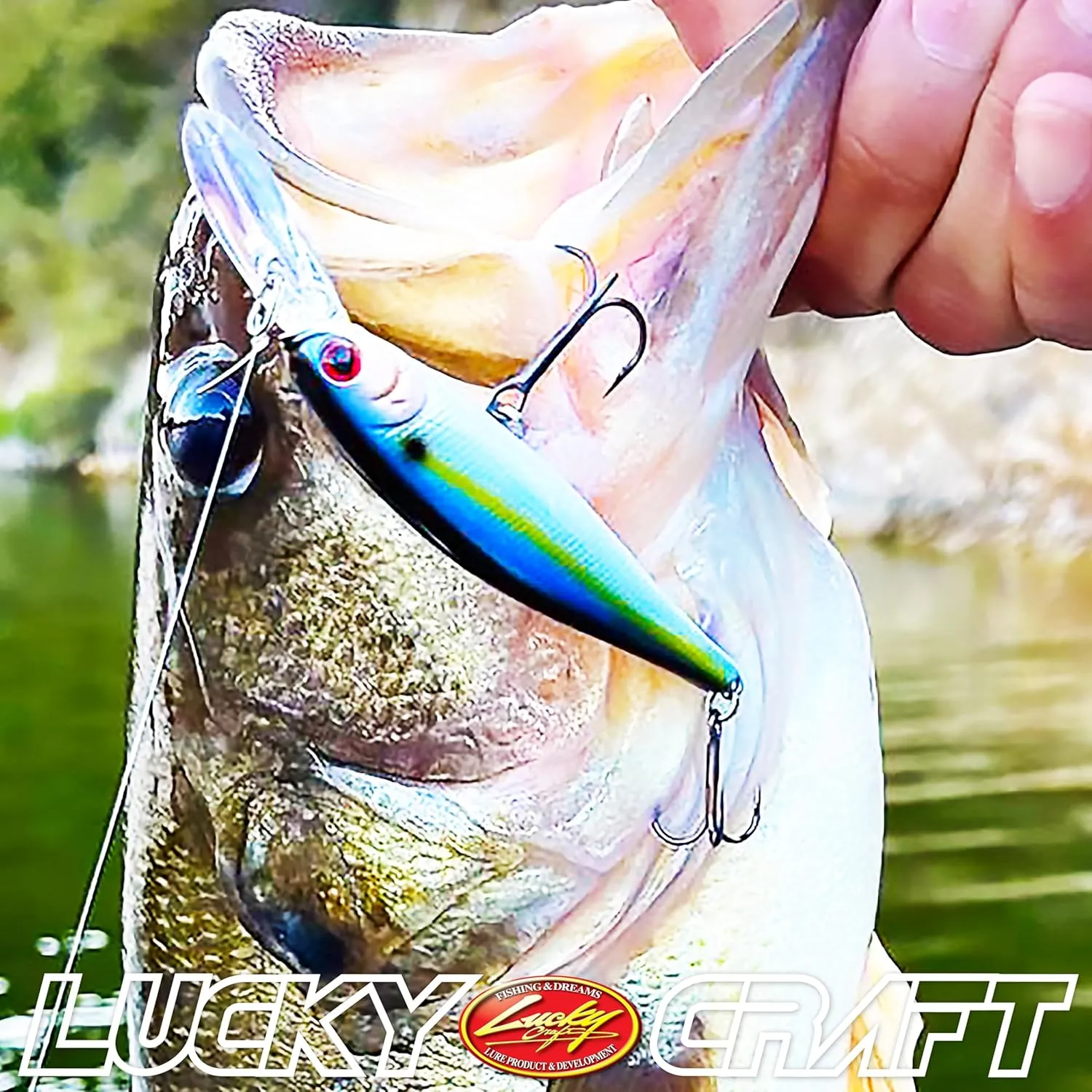 LUCKY CRAFT Pointer 78DD, Freshwater Lake Bass Fishing Lure, Jerkbait, Suspending, Tournament Winning, Deep Diver, Fishing Gear, Fishing Accessories, Fishing Tackle