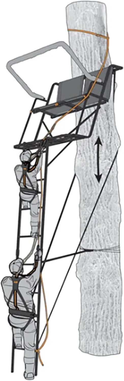 Safe Line 30 Inch (3-Pack)