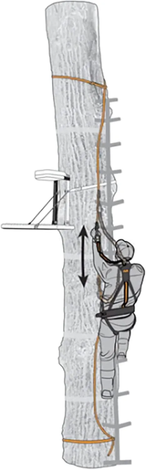 Safe Line 30 Inch (3-Pack)