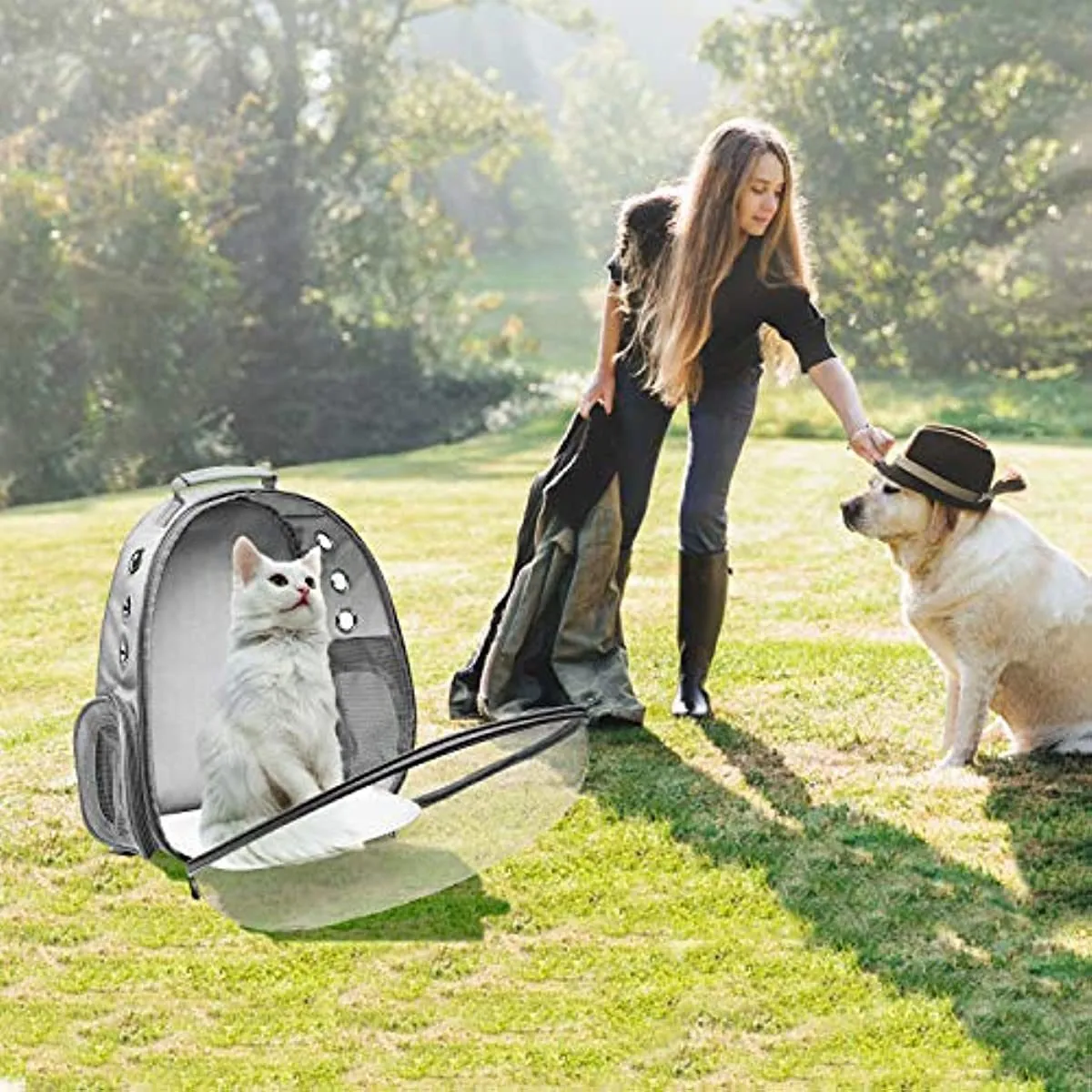 Space Capsule Pet Carrier