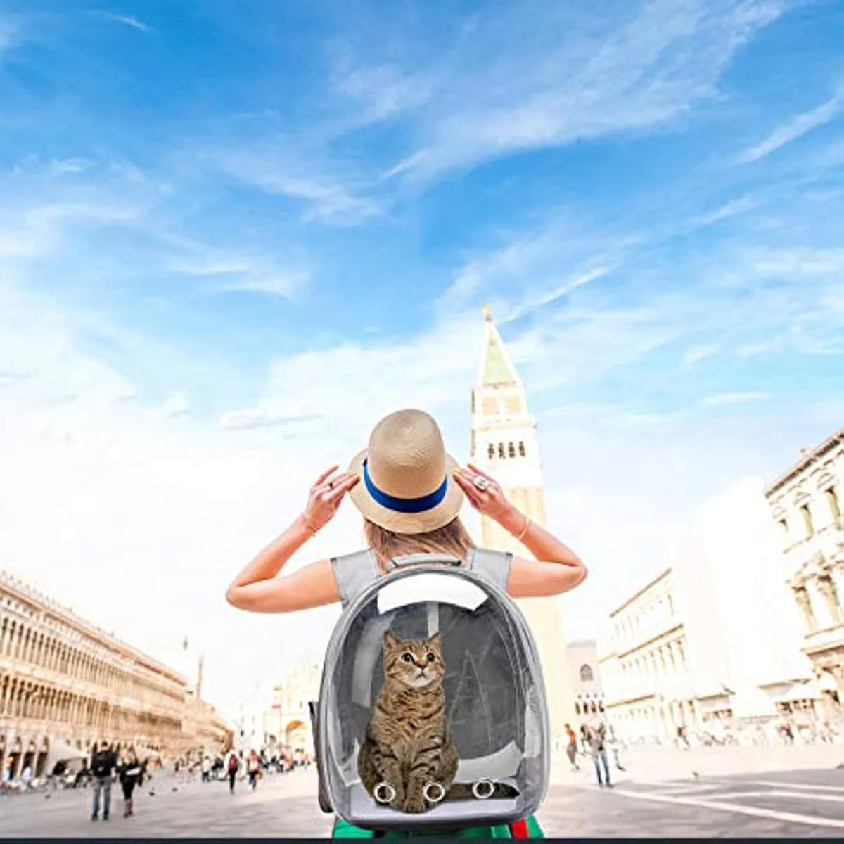 Space Capsule Pet Carrier