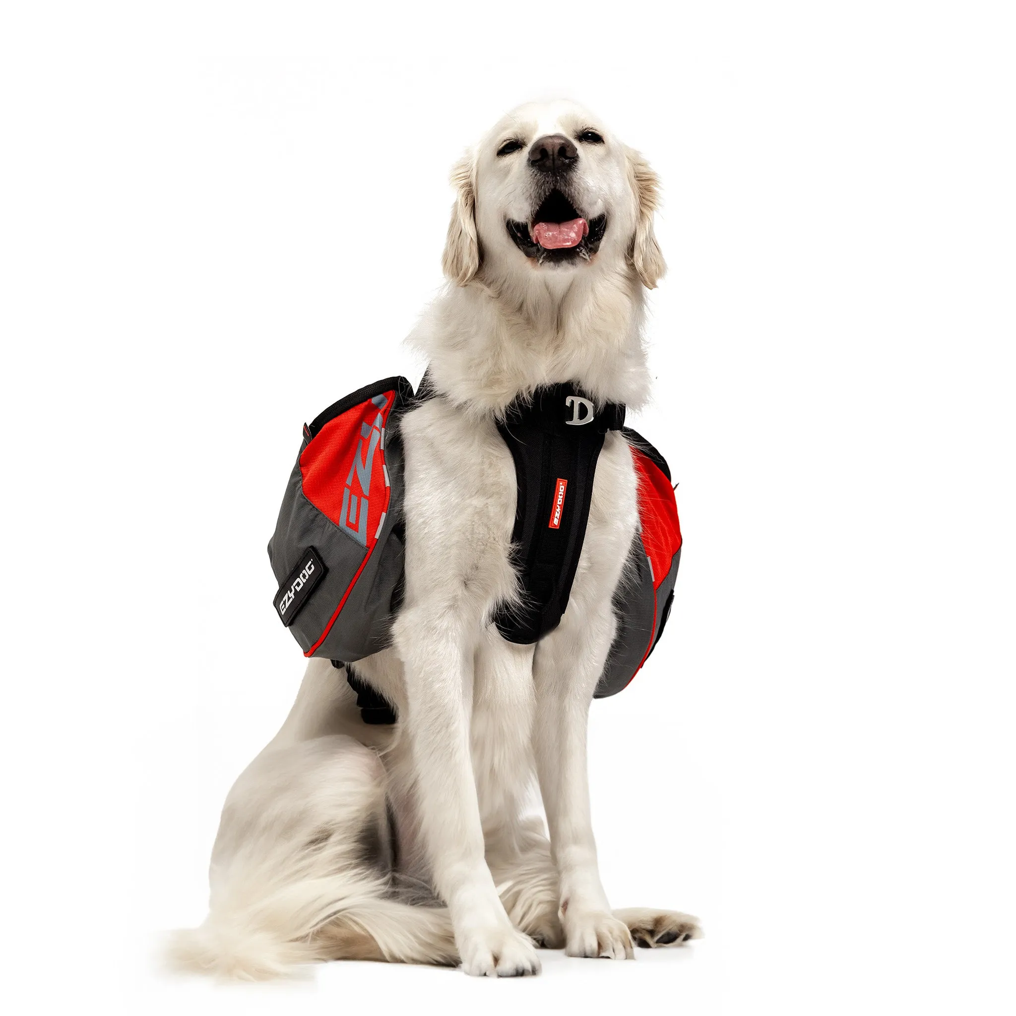 Summit Backpack