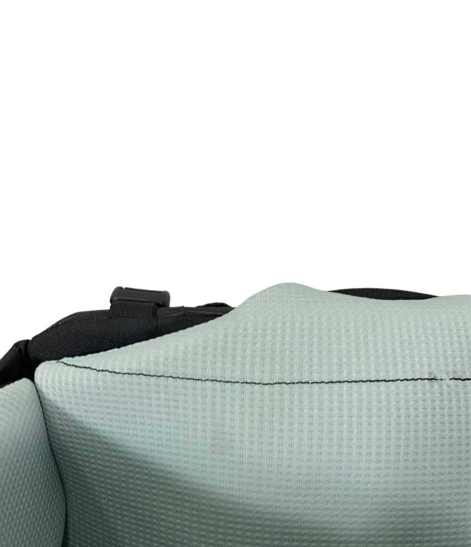 Thule Sapling Child Carrier, Black
