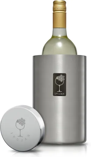 Wine Chiller Bucket with Stainless Ice Stone - Champagne Bucket for 750ml Single Bottle Cold up to 5 Hours - Iceless Insulated Double Walled White Wine Cooler Bucket (Silver)