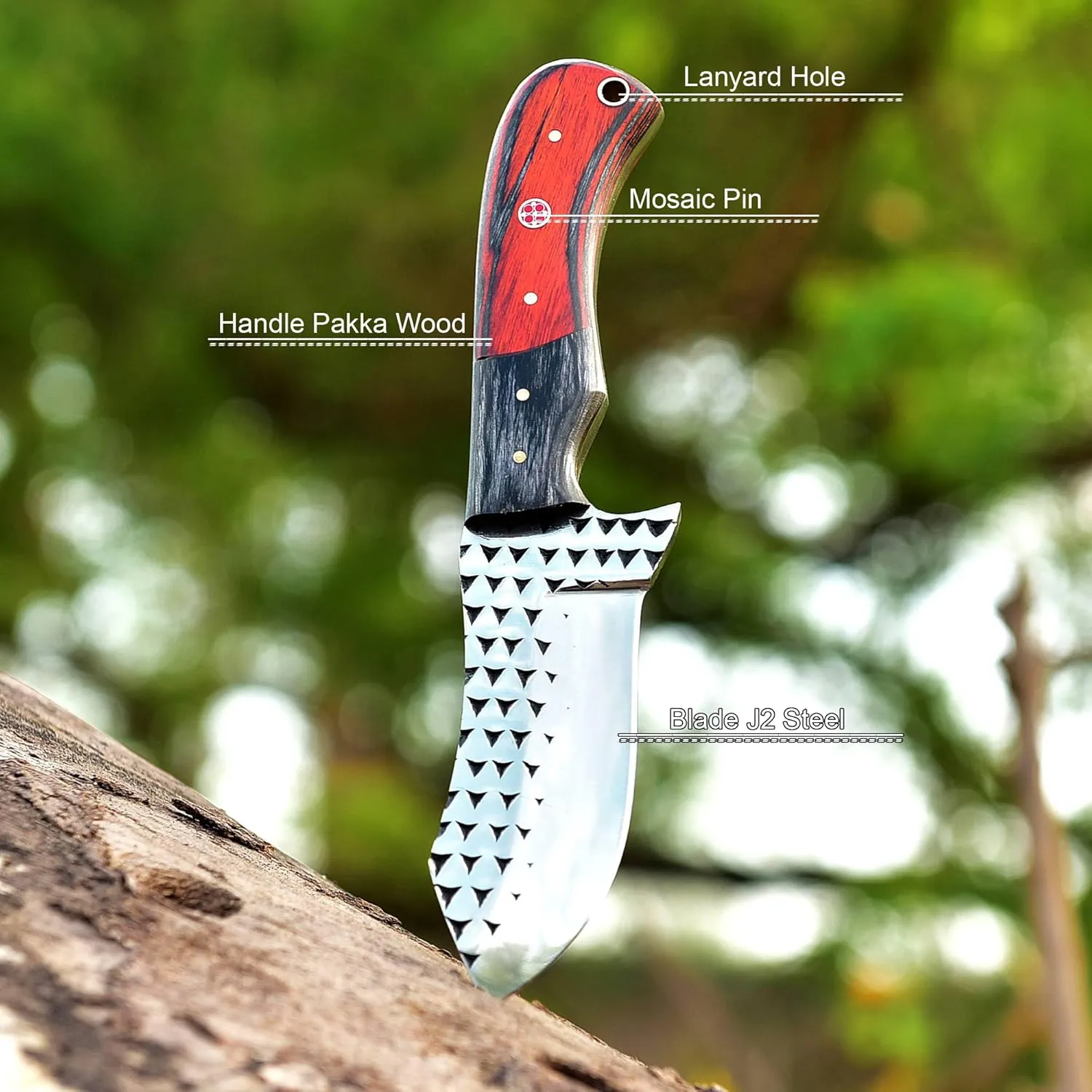 Wolf Cut Custom Handmade Farrier Rasp Steel Bull cutter knife Cowboy knife Hunting knife Camping knife with Pancake Leather Sheath (Black wood)