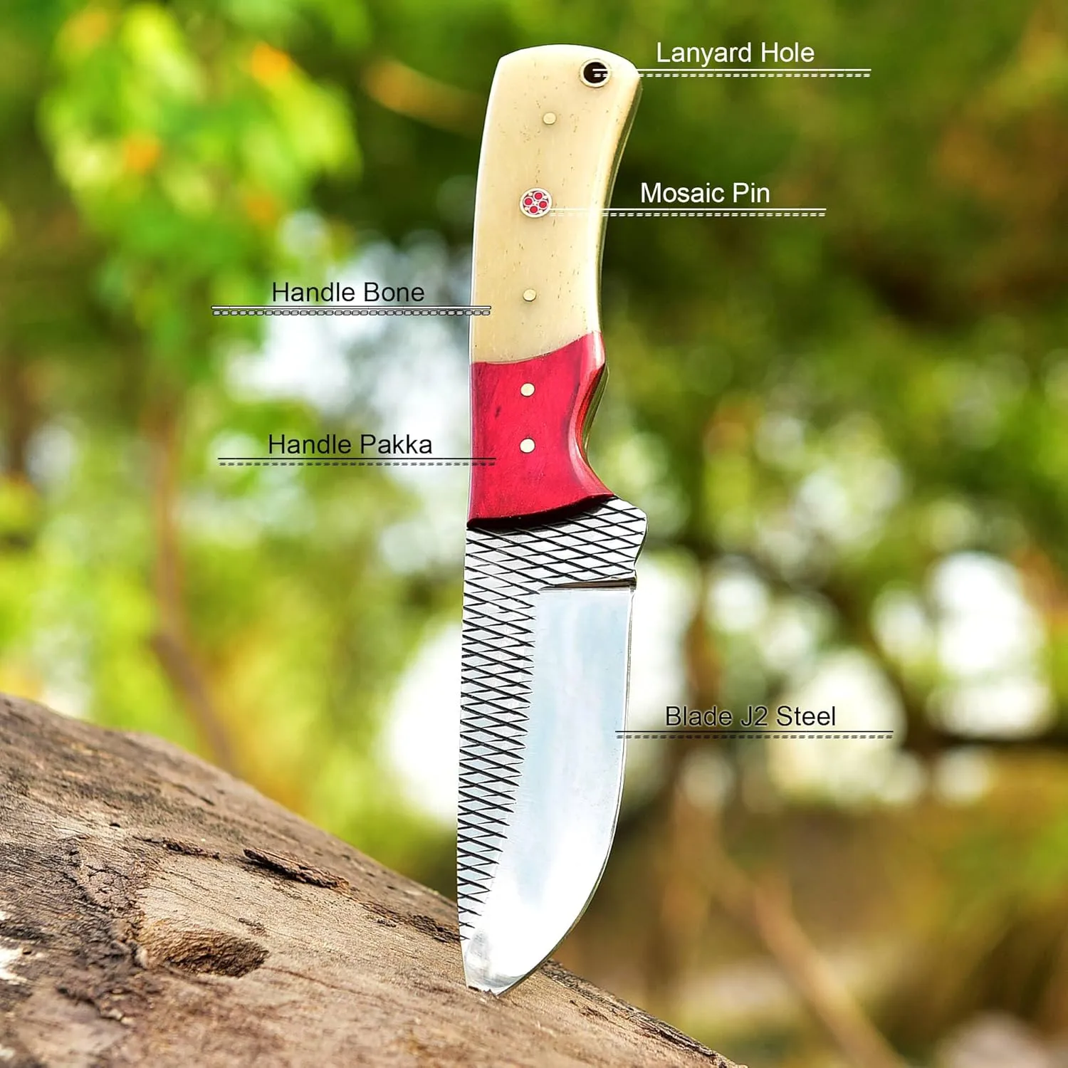 Wolf Cut Custom Handmade Farrier Rasp Steel Bull cutter knife knife EDC Fixed Blade Knife Cowboy knives Hunting knife Bushcraft knife Caming knives tactical knife Pancake leather sheath (Red wood)