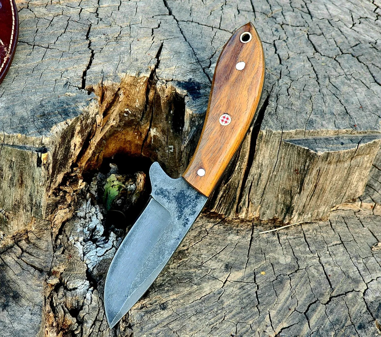 Wolf Cut Handmade 1095 Steel Bull Cutter Knife Cowboy Knife Wood & Bone Handle Utility Knife EDC Fixed Blade Knife For Men women sharp Camping Knives Bushcraft Knife Classic Pancake leather Sheath (Rose Wood)