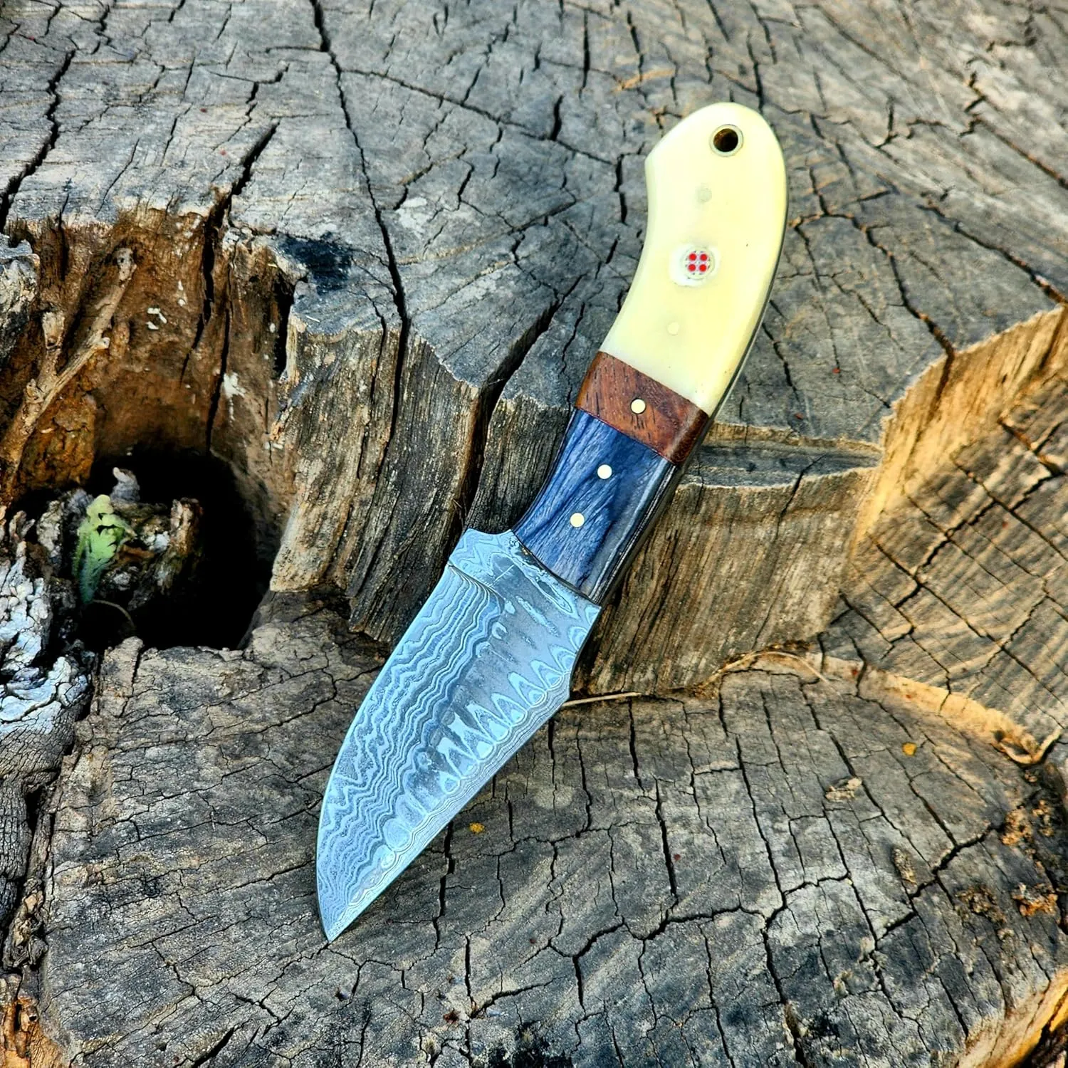 Wolf Cut Handmade Damascus Steel Hunting knife Fixed Blade knife, Bone & Rose Wood Handle Bull Cutter Knife, EDC Utility knife Cowboy Knife Damascus Steel Knife Bushcraft knife Skinning Knife with leather Sheath (Black Wood Bone)