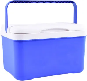 YIJU Insulated Cooler Box Ice Retention Cooler Beverage Storage Organizer Car Refrigerator for Picnic Outdoor Activities Barbecue